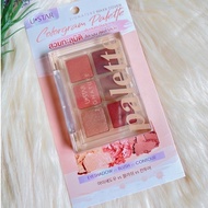 USTAR ZIGNATURE MAXX COVER COLORGRAM PALETTE พาเลท