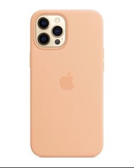 Apple iPhone 12 Pro Silicone Case