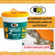 Bosny Wit Quick-Drying Cement water Leakage Suddenly Dry Powder With Instant Size 2 Pounds plug