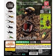 全新 Bandai 昆蟲大圖鑑 獨角仙 09 扭蛋 全6種 鍬形蟲