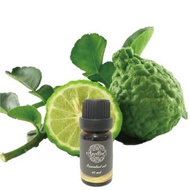 佛手柑精油 BERGAMOT