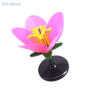 AUTU Detailed 3D Dissectible Artificial Blossom Teaching Aid For  School Plant Anatomy Lessons And S