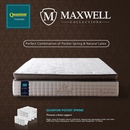 Kasur Quantum Maxwel Pocket Latex Halton hanya kasur by Quantum
