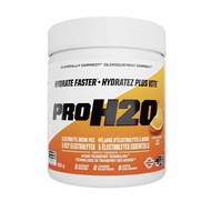 PVL PRO H2O 255 g. กรดอะมิโน BCAA + ELECTROLYTE + เกลือแร่