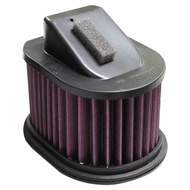 Rapido Kawasaki Z800 Washable Air Filter