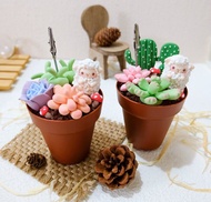 捲捲羊多肉盆栽收納盒 黏土材料包 線上教學影片&DIY 材料