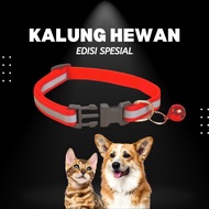 Kalung Hewan Peliharaan Motif Stripe Custom Nama Kucing Anjing Kelinci - Polos, Orange