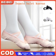 Ballet Shoes Adult Ballet Shoes/ Ballet Flats Ballerina Shoes Canvas Ballet Shoes