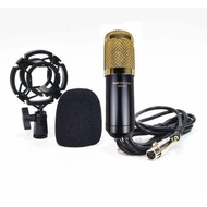 TaffSTUDIO BM 800 Condenser Microphone