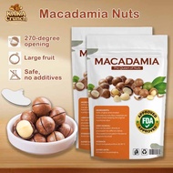 Ready stock - macadamia nuts 1kg -READY TO EAT-free kunci Food Snacks Pedas