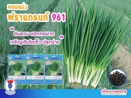 เมล็ดหอมแบ่ง (Welsh Shallot) พันธุ์พิเศษ แข็งแรง โตเร็ว แตกกอดี ปลูกง่าย ปลูกได้ตลอดปี