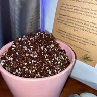 1L/2L Germination Mix Soiless for vegetable/ herbs/microgreen seeds.Can be mix with potting soil for better plant growth