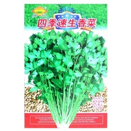 Ready Stock Quick Shipment Four Seasons Instant Coriander Seeds Farmland Vegetable Garden Can Four S