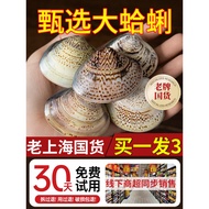 Old Shanghai Clam Oil Anti-Drying Official Flagship Store Harry Oil Old Brand Domestic Hand Cream Ol