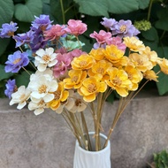 永生花银莲花干花虞美人真花海葵花干花花束婚庆DIY家居轻奢装饰Eternal anemone dried flower poppy real flower anemoneyekue666.myyeku