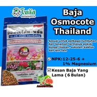 Baja Sotus Osmocote Thailand (Bunga) NPK 12-25-6 + 1% MgO