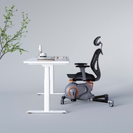 Ergonomic Fitness Chair Office Chair Fitness Bike