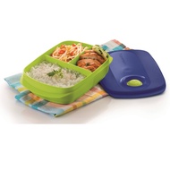 Square Lunch Box by Tupperware Product