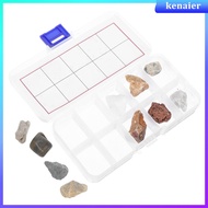 1 Set Kids Geology Kit With Rock Specimens Educational Rock And Mineral Collection For Classroom Sci
