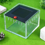 [Tzuscene] Pet Spider Box Reptile Crawling Pet Feeding Lizard Silkworm Baby Scorpion Unicorn Beetle 