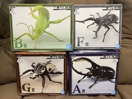$300全走❗️昆蟲一番賞(A、B、F、G)