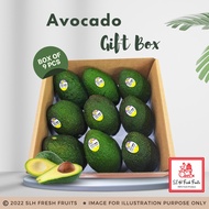 SLH Avocado Box (Box of 9 pcs)