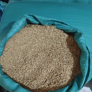 5kg of clean rice for chickens, ducks, birds,...