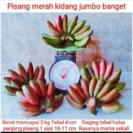 Buah pisang merah kidang