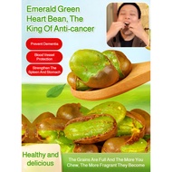 【Premium Natural】Green Appearance Silkworm Bean Snacks Natural Health Properties Quality Source - Yu