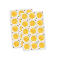 LED Chip 12W 18W 24W 30W COB Bicolor 36V 54V 72V 90V Warm Cool White Double Color for DIY LED Bulb T