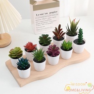 WISDOM Succulent Bonsai Plants, Plastic Fake Plants Artificial Succulent Bonsai, Ornament Cactus Suc