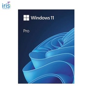 Microsoft Windows 11 Pro 64 Bit FPP HAV-00163