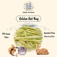 Australia Golden Oat Hay Rabbit Guinea Pig Chinchilla 500g | 澳洲黄金燕麦草 兔子