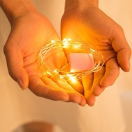 LED WIRE LIGHT (1 METER & 2 METER)