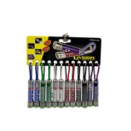 2 in 1 Cat Laser Pointer