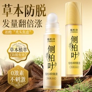 Plant Cypress Poetry Side Cypress Leaf Solid Hair Anti-Lossing Anti-Losing Herbal Plant Care Comes w