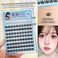 BQI Dog Series Small Flame Glue-Free Lashes, Curling, 10 Rows