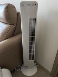Rasonic 直立式風扇