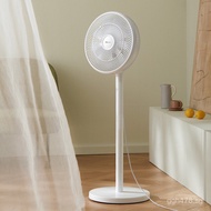 Large Standing Fan DFS-D40C3Energy-Saving Oscillating Fan for Home Use, Small Powerful Bear Floor Fa
