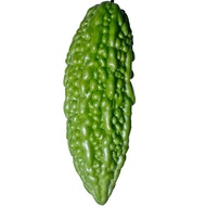 10.Bitter Gourd Seeds 8pcs Free Normal Mail in SG