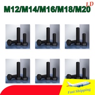 Black Nylon Allen Screw Plastic Screw Insulated Hex Head Screw Plastic Bolt Screw M12/M14/M16/M18/M2
