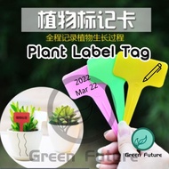 Plant Tag/Plant Label/Penanda Pokok/Plant Tag : Plastic T-Type Plant Label Markers Garden 植物标签牌子 标签 牌子 植物标签
