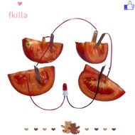 FKILLA Electricity Experiments Science Kit, STEM Experiment Kit Potato Powered Fruit Battery Science