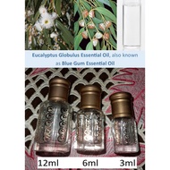 QT Eucalyptus Essential Oil (for aromatherapy)