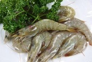 【冷凍蝦蟹類】活凍白蝦(60/70) /約850g/盒~殼薄新鮮~肉嫩味美~鮮甜便宜又好吃~