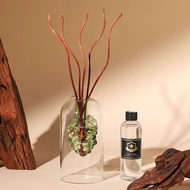 Shujuhome | Diffuser Scented Bottle Reed Diffuser Home Decor