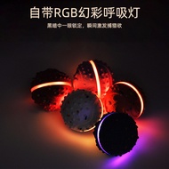 LED Light-Up Bouncing Dog Ball, High-Bounce Flashing Chew Toy for Dogs