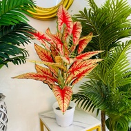 Pelbagai 70-80cm Artificial Plant pokok hiasan viral