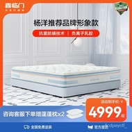 ‍🚢XXP4【Yang Yang Same Style】Soft and Hard Dual-Use Seven-Zone Induction Spring Anion Latex Jute Mattress YangO