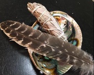 鼠尾草燃燒淨化器具 - 鮑魚貝殼 | 紅聖木鼎架 | 黑火雞羽毛 Abalone Shell Smudge Kit